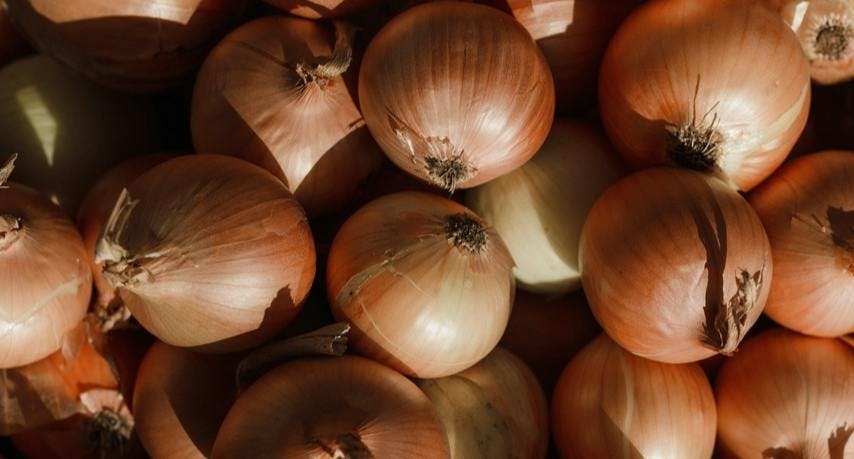 food produce onion plant vegetable shallot