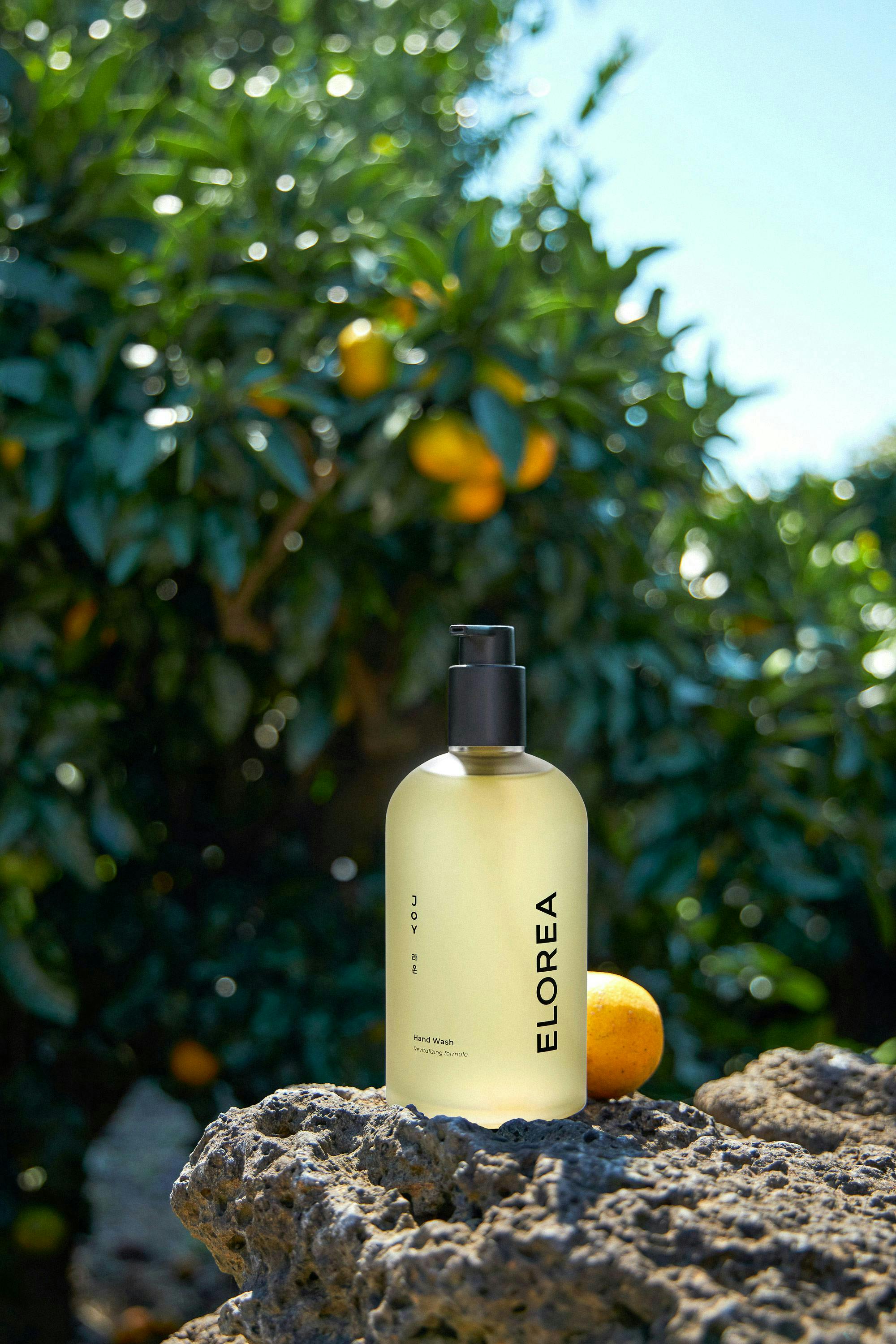 bottle citrus fruit food fruit grapefruit plant produce cosmetics perfume