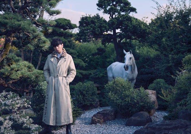 clothing coat overcoat person plant tree dress horse fashion long sleeve