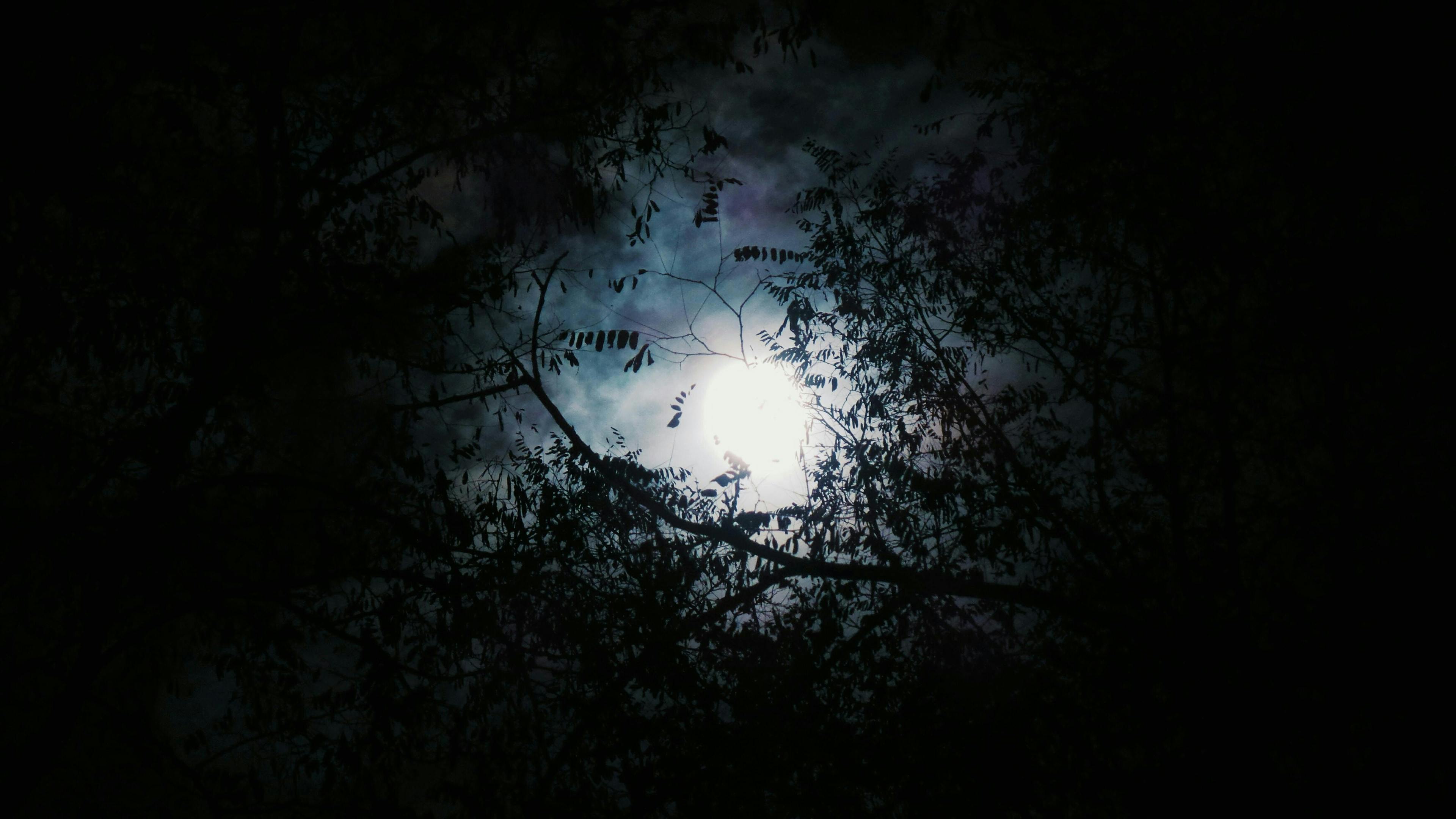 nature night outdoors astronomy moon full moon