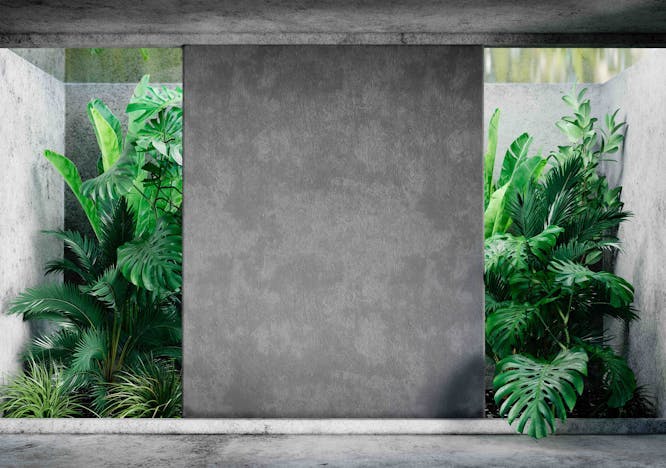 aesthetic,studio,palm,stucco,building,space,empty,eco,botanical,biophilic,banana,plaster,zen,natural,tree,neutral,lush,contemporary,monstera,light,background,plant,indoor,concrete,template,blank,house,summer,interior,minimal,gray,modern,design,hotel,floor,architecture,nature,texture,copyspace,leaf,mockup,room,home,tropical,foliage,material,luxury,garden,window,wall fern plant vegetation outdoors architecture building wall nature