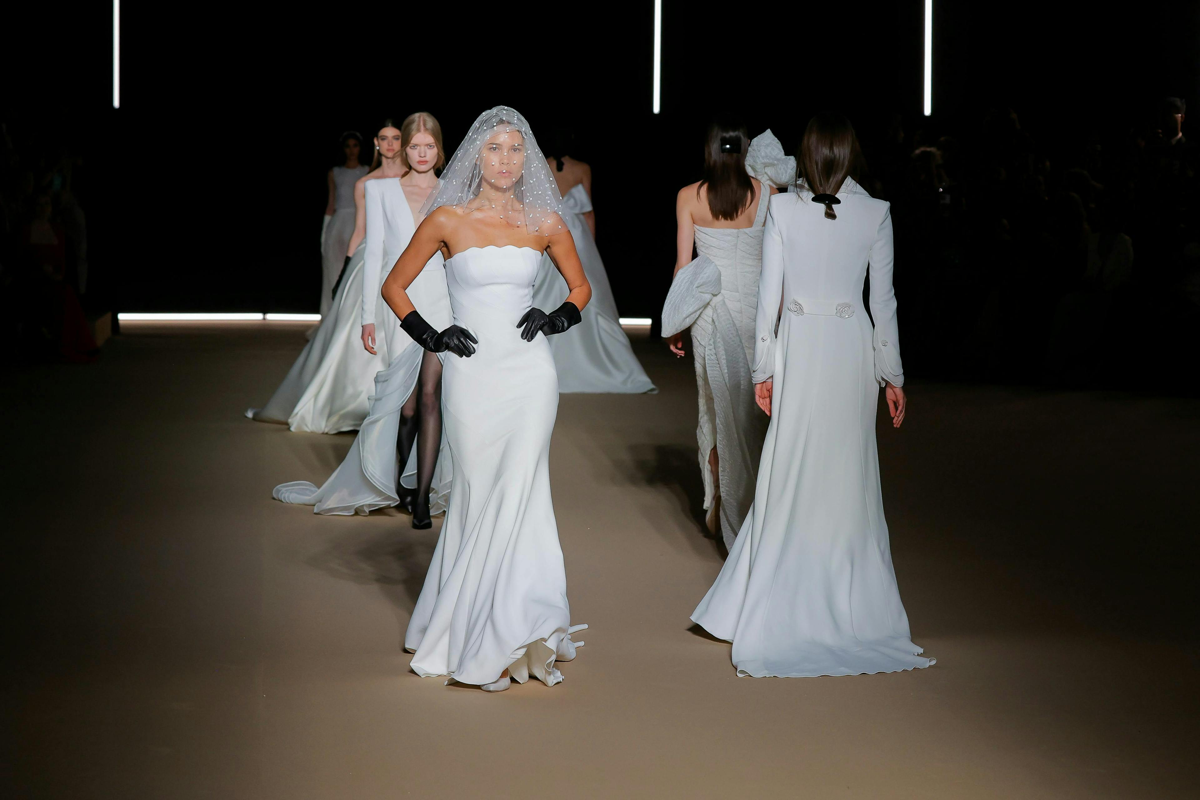 Pronovias 2024 : the 2025 wedding dress collection